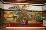 京都旅行〜大覚寺〜嵐山〜竹林〜銀閣寺〜 084.jpg