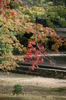 京都旅行〜大覚寺〜嵐山〜竹林〜銀閣寺〜 183.jpg