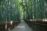 京都旅行〜大覚寺〜嵐山〜竹林〜銀閣寺〜 255.jpg