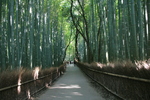 京都旅行〜大覚寺〜嵐山〜竹林〜銀閣寺〜 255.jpg