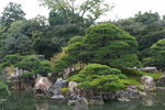 京都旅行〜大覚寺〜嵐山〜竹林〜銀閣寺〜2 332.jpg