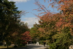 京都旅行〜大覚寺〜嵐山〜竹林〜銀閣寺〜2 398.jpg