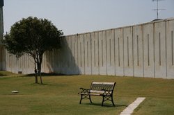 秋の大池 001.jpg
