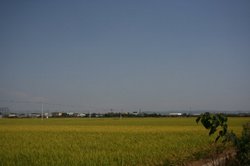 秋の大池 147.jpg