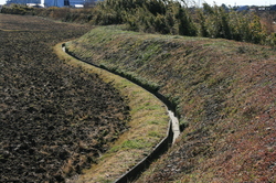 大池 952.jpg
