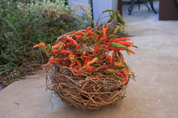 大池 980.jpg