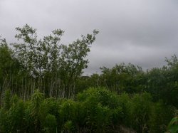 大池極楽湯 031.jpg