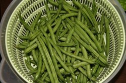庭菜園6月 202.jpg