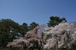二条条、御所、大阪 119.jpg