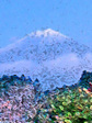 立〜富士山3.jpg