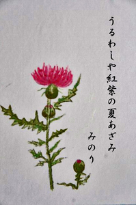 アザミ-022.jpg
