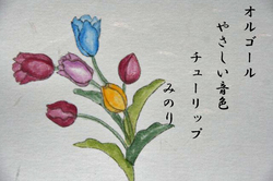 チューリップ 037~~.jpg