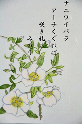 ナニワイバラ-004.jpg
