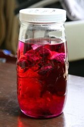 フルーツ酒.jpg