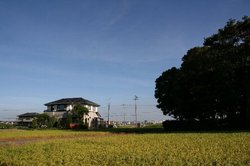 今朝の空.jpg