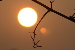 夕日は2ヶ.jpg