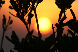 夕暮れ.jpg