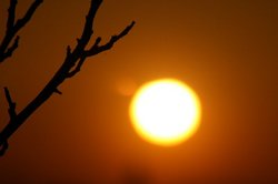 大きな夕日.jpg
