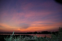 大池の朝焼け.jpg