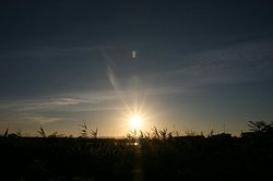 大池朝日8月 370.jpg