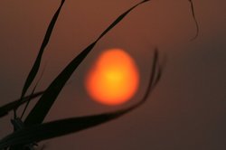 幻想的な夕日.jpg