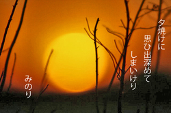 幻想的ま.jpg