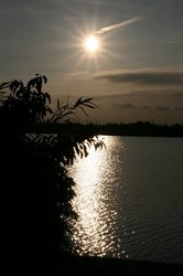 水辺と夕日.jpg