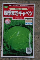 菜園 001.jpg