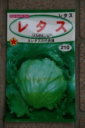 菜園 003.jpg