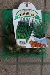 菜園 005.jpg