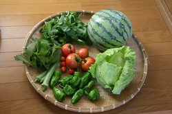 菜園8月 261.jpg