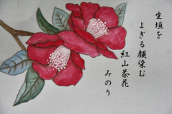 葉書-047〜.jpg