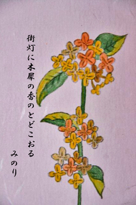金木犀-095.jpg