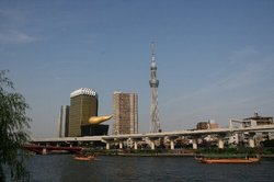 隅田川とツリー.jpg