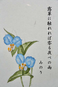露草-002~~.jpg