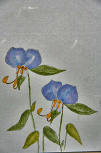 露草-013~~.jpg