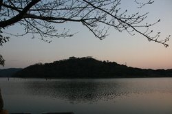3月浜名湖2日目 065.jpg