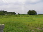P1040529.jpg