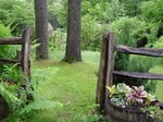 e0008586_0112794.jpg