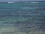 tm_DSCF4977.jpg