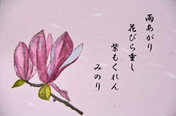 ~~コブシ-045.jpg
