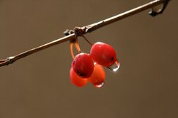 11月 179.jpg