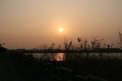1月大池 248.jpg