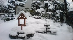 20100305110415.jpg