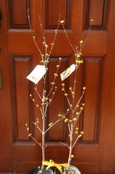 2月 526.jpg