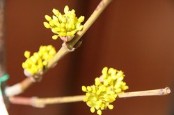 2月 529.jpg
