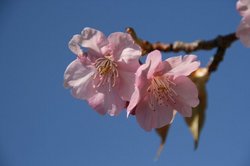 3月海 013.jpg