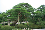〜兼六園〜金沢城〜白川郷 217.jpg