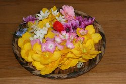 家庭菜園 1106.jpg