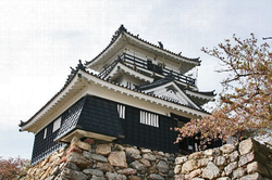 浜松城.jpg